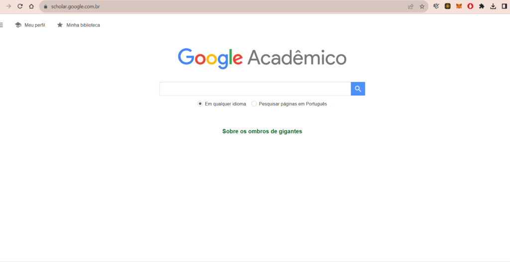 google acadêmico artigos